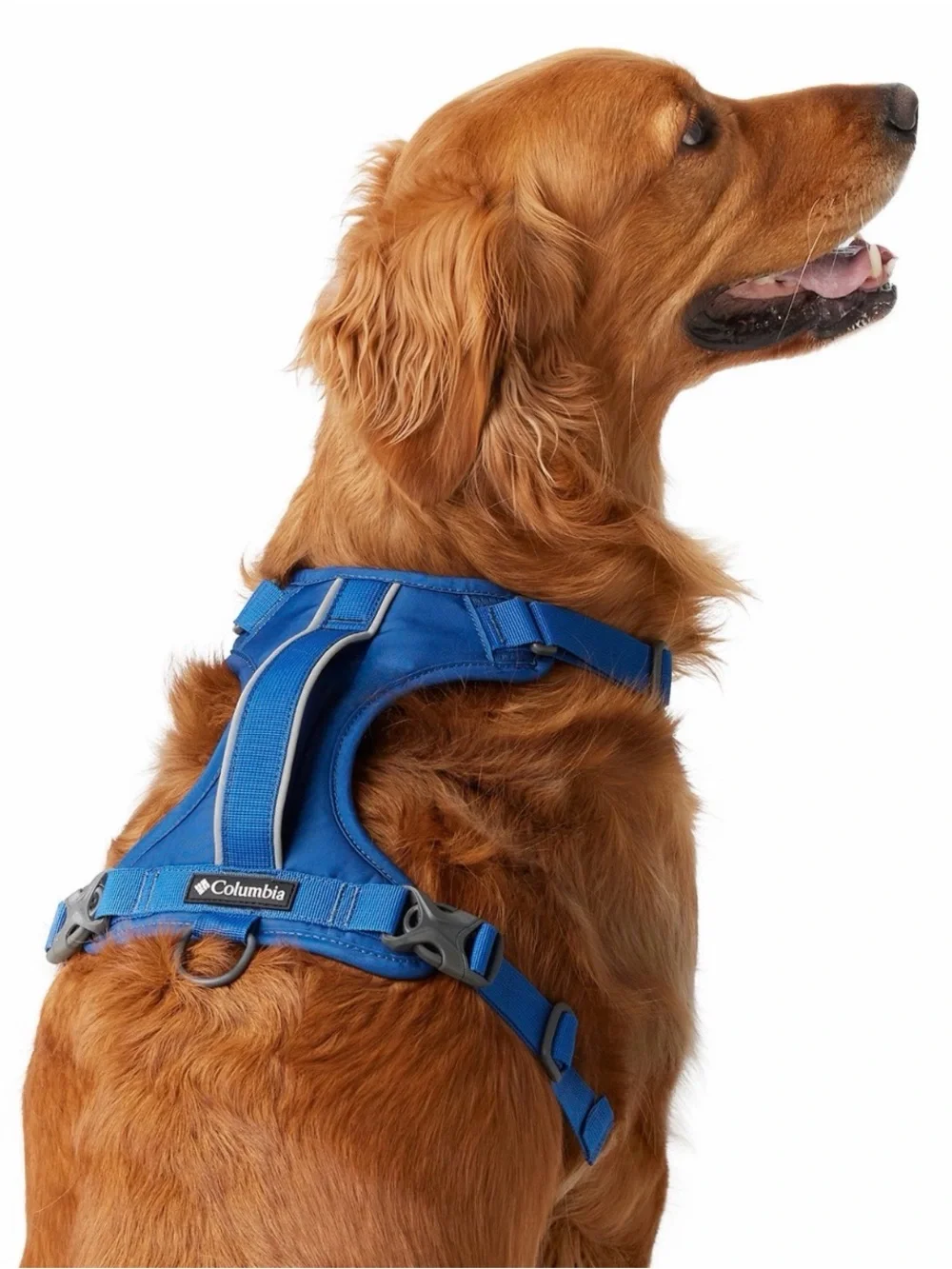 Columbia Blue Padded Dog Harness with D-Ring, size Large